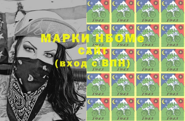 гидра Бородино