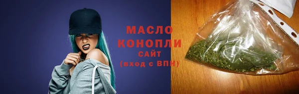гидра Бородино