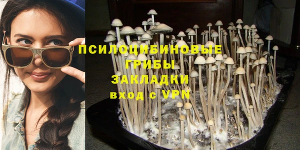 гидра Бородино