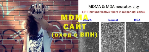 гидра Бородино