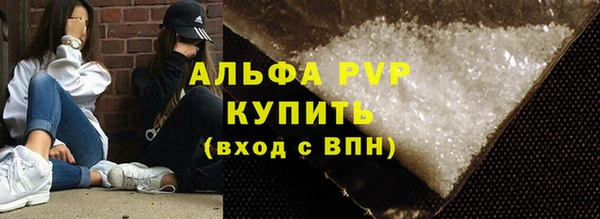 гидра Бородино