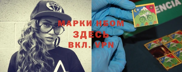 гидра Бородино
