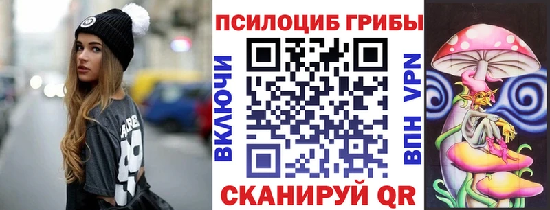 Купить закладки  Кириллов  Галлюциногенные грибы Psilocybe 