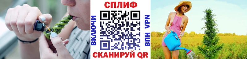 Купить где Кириллов Канабис тримм
